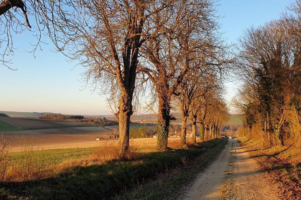فيلا Le Bellevue A 1 H 30 De Paris Et 20 Km De Troyes Estissac المظهر الخارجي الصورة